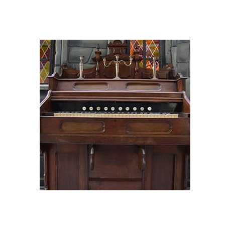 Orgue 153cm