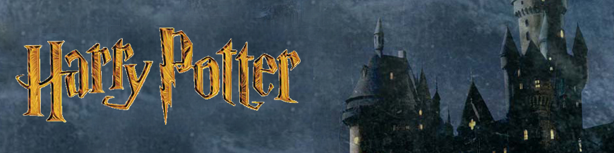 Décoration événementielle Harry Potter : Location d'éléments de décoration  thème du film Harry Potter. - Lib deco